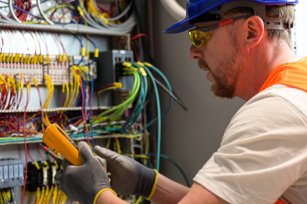 Best Electric Panel Repair  in Erwin, TN